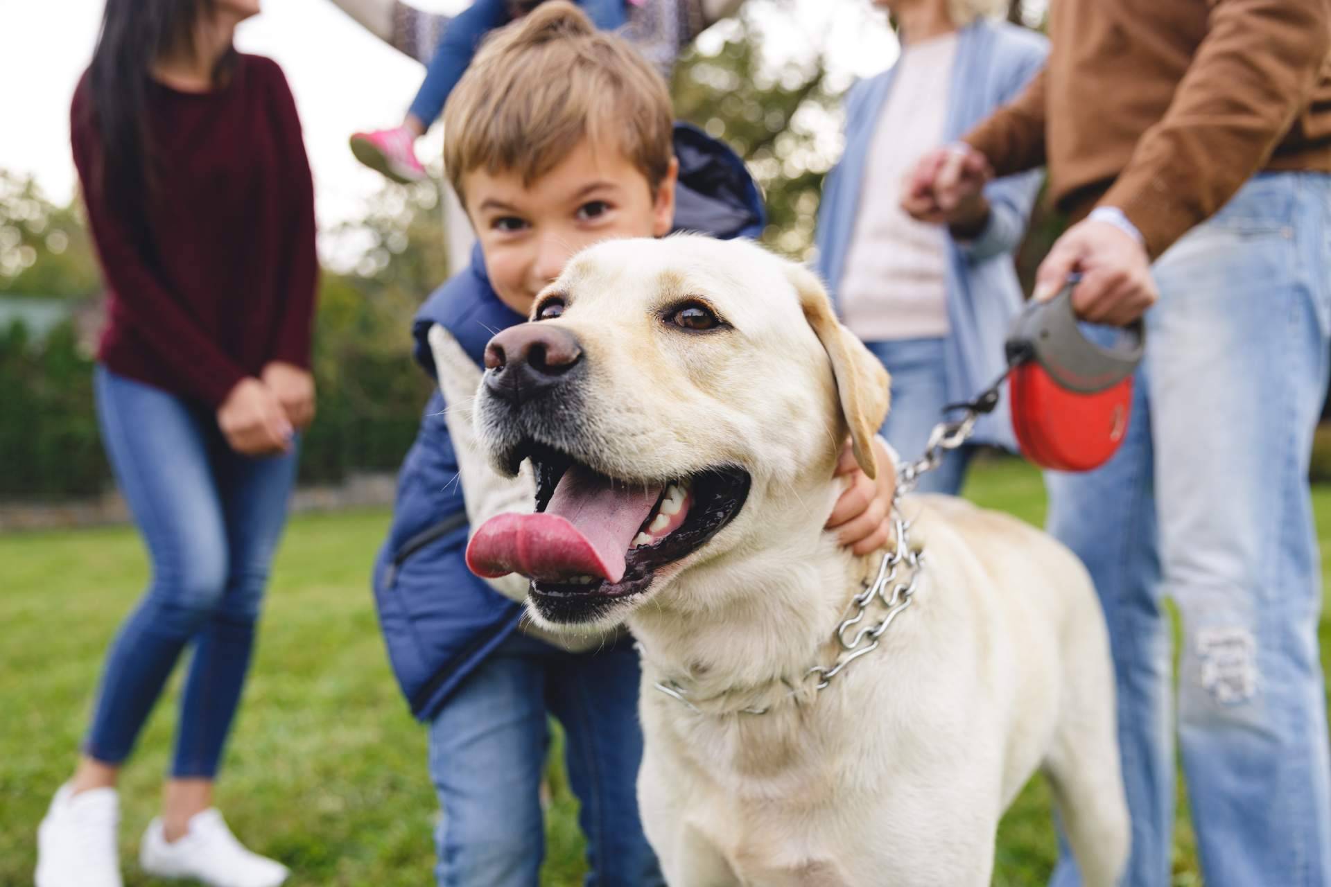 Piensos para perros con Wolves Legacy, la legendaria fórmula que los perros devoran