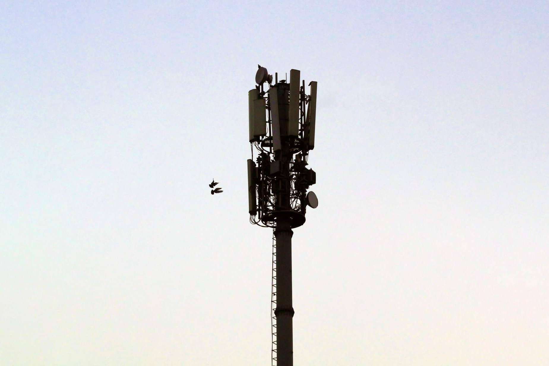 El despliegue de 5G en Colombia, de la mano de Iquall Networks