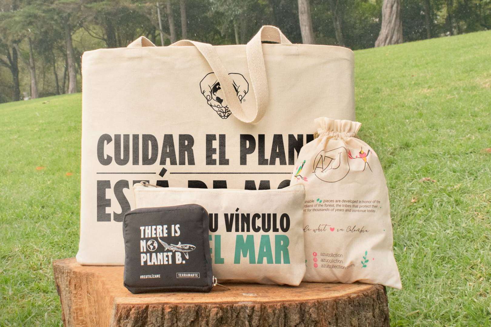 Terramarte, una de las primeras 5 empresas B en Colombia