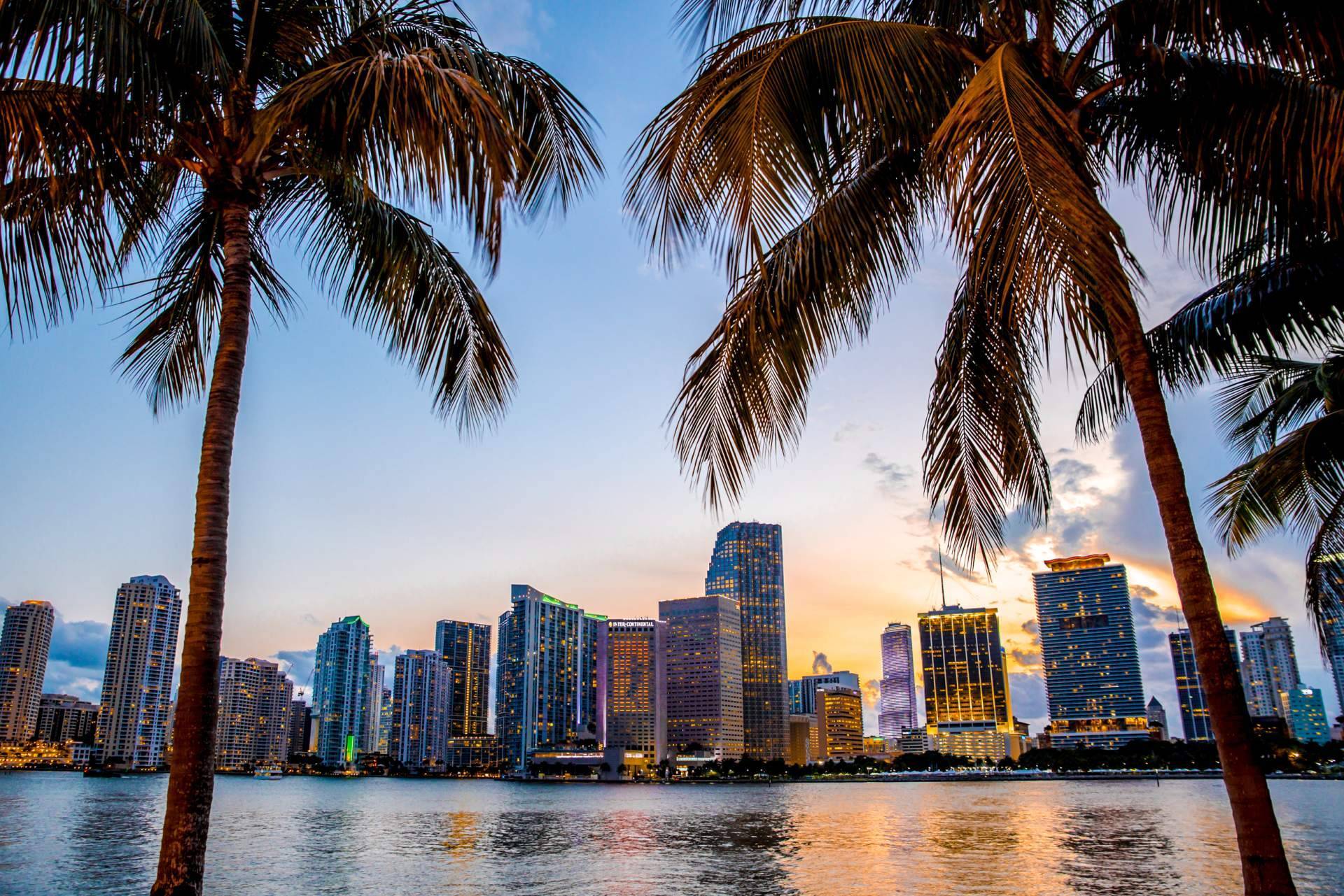 UTG Miami, inmobiliaria de referencia en Miami con una amplia variedad de apartamentos en preconstrucción