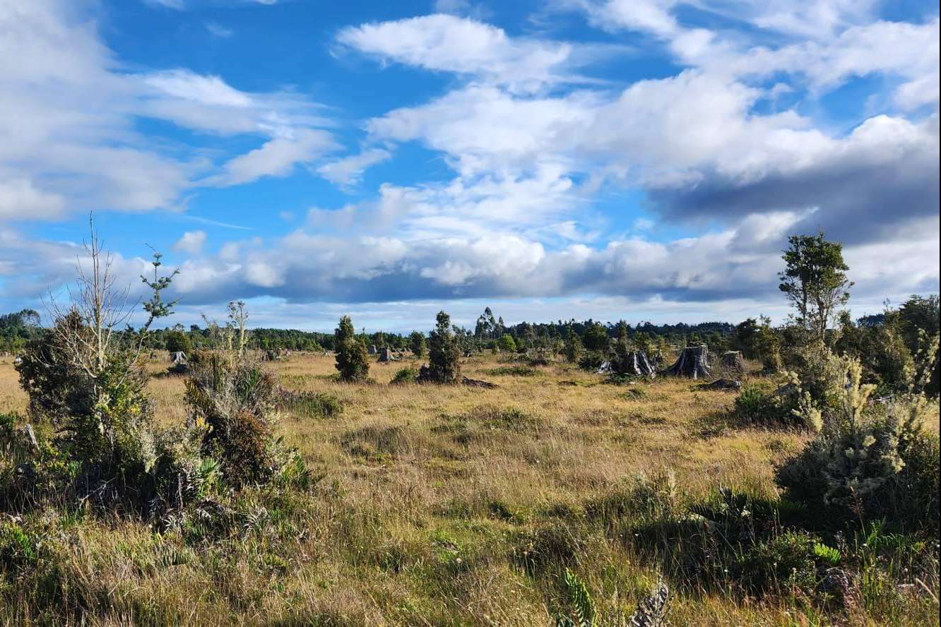 Una opción rentable para invertir en un entorno natural, la región de Los Lagos al sur de Chile