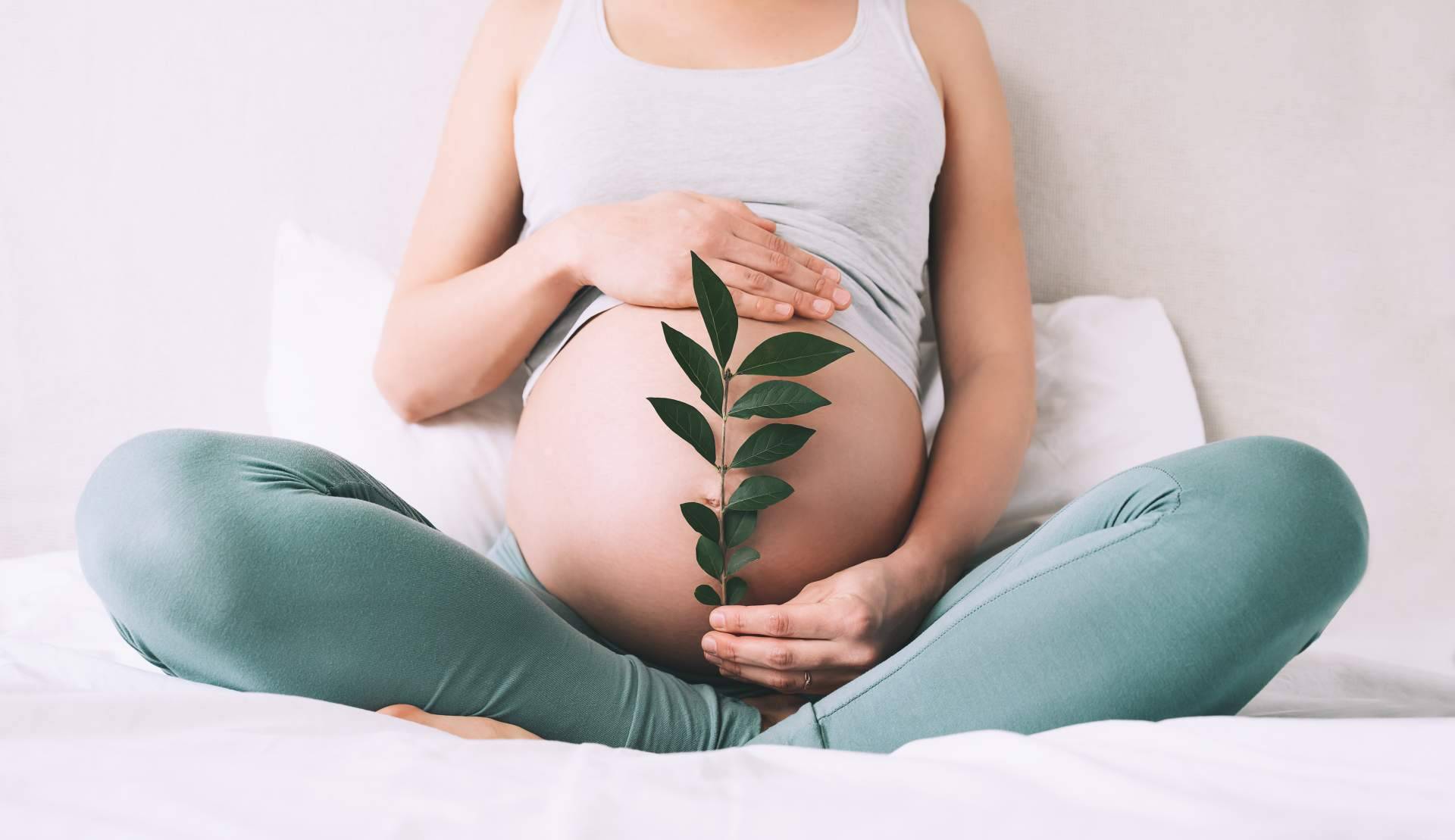 Cómo elegir la clínica de fertilidad perfecta para tratamientos de reproducción asistida