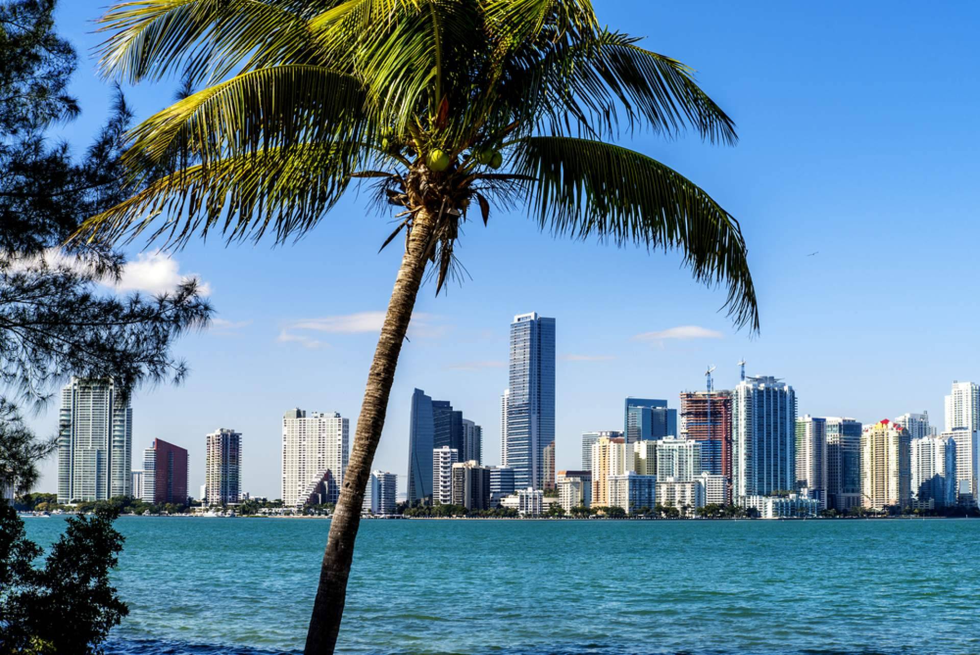 Miami se consolida como epicentro de residencia de lujo para la élite mundial y transforma el mercado inmobiliario
